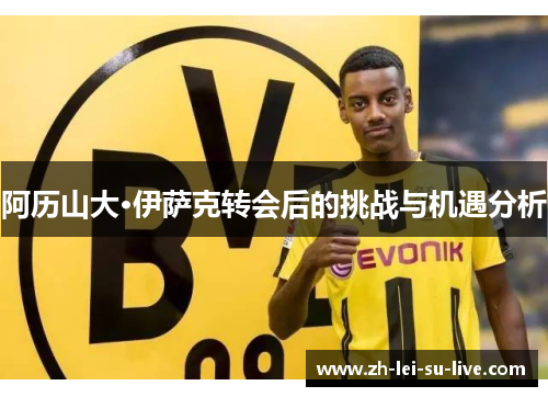 阿历山大·伊萨克转会后的挑战与机遇分析